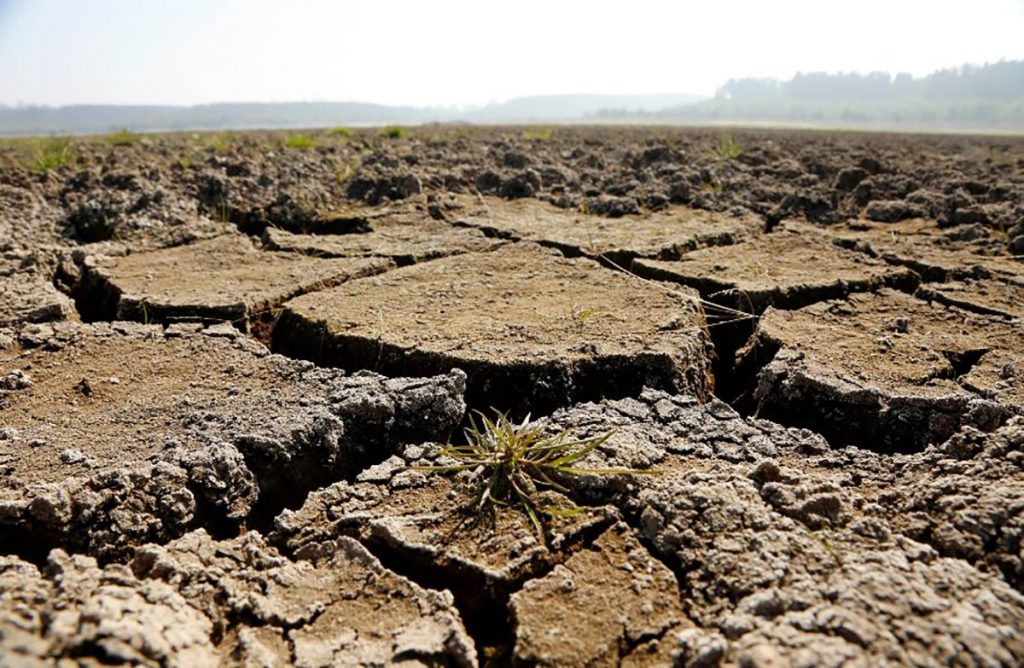 Extienden por 6 meses la emergencia agrícola para la Región de Coquimbo