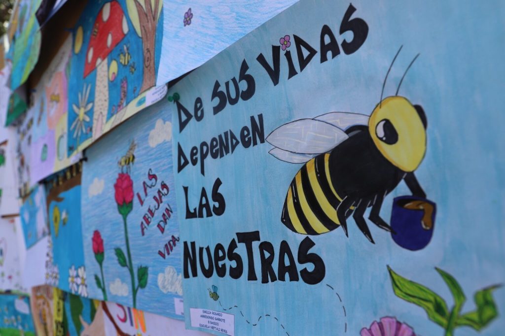 Con feria medioambiental celebraron el Día Mundial de las Abejas en Vicuña