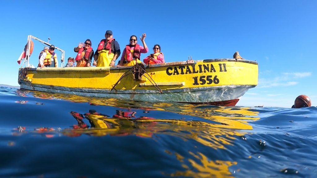 Proyecto de Corfo y UCN muestra sus avances y destaca el rol de la mujer en acuicultura a pequeña escala