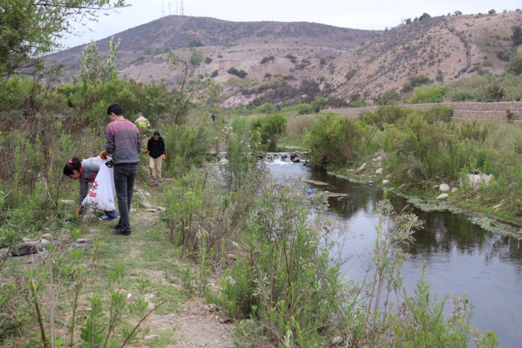 Más de 7 toneladas de basura y vidrio se retiraron de la ribera del Rio Limari