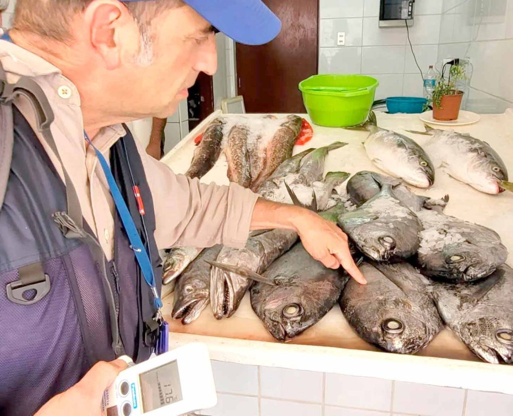 Aumentan los brotes alimentarios en Coquimbo