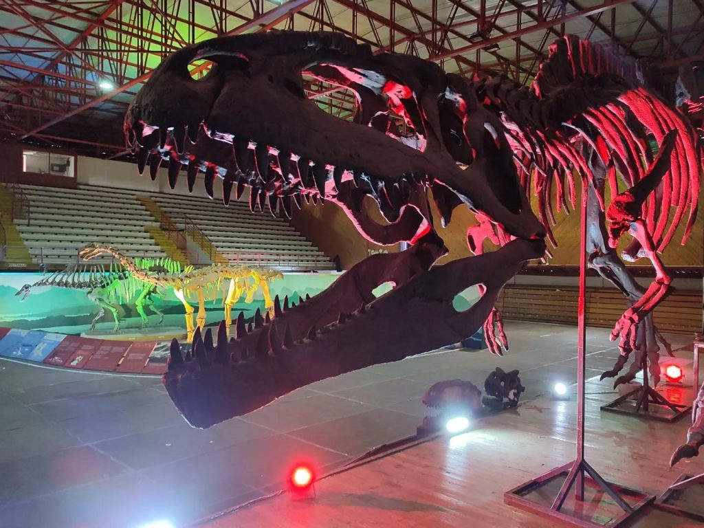 ¡Descubre un verano lleno de aventuras prehistóricas en la Expo Dinosaurios Coquimbo! Descubre un verano lleno de aventuras prehistóricas en la Expo Dinosaurios Coquimbo