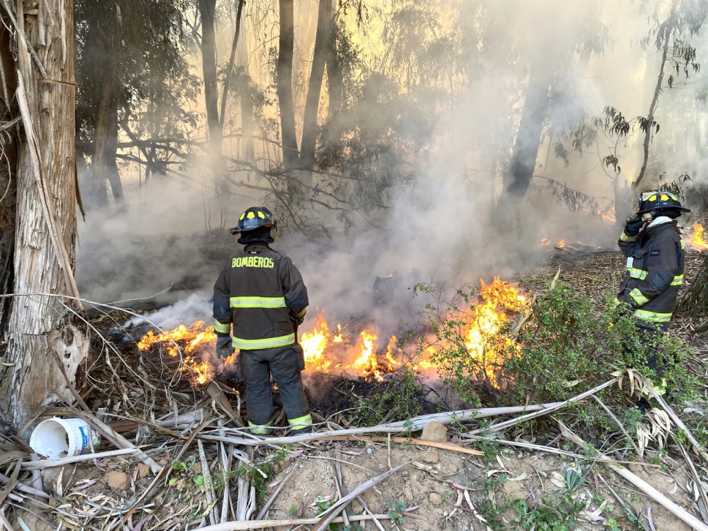 Conjunto de esfuerzos logra controlar incendio en la Región de Coquimbo tras 10 días