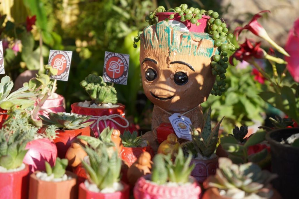 Exitosa Feria de la Abundancia en Dos Ríos, Monte Patria, Región de Coquimbo