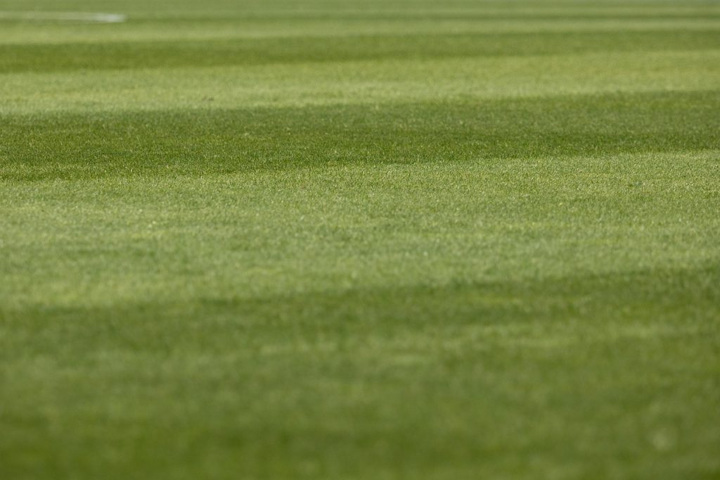 U de Chile se va al norte: los azules recibirán a Santiago Morning en La Serena