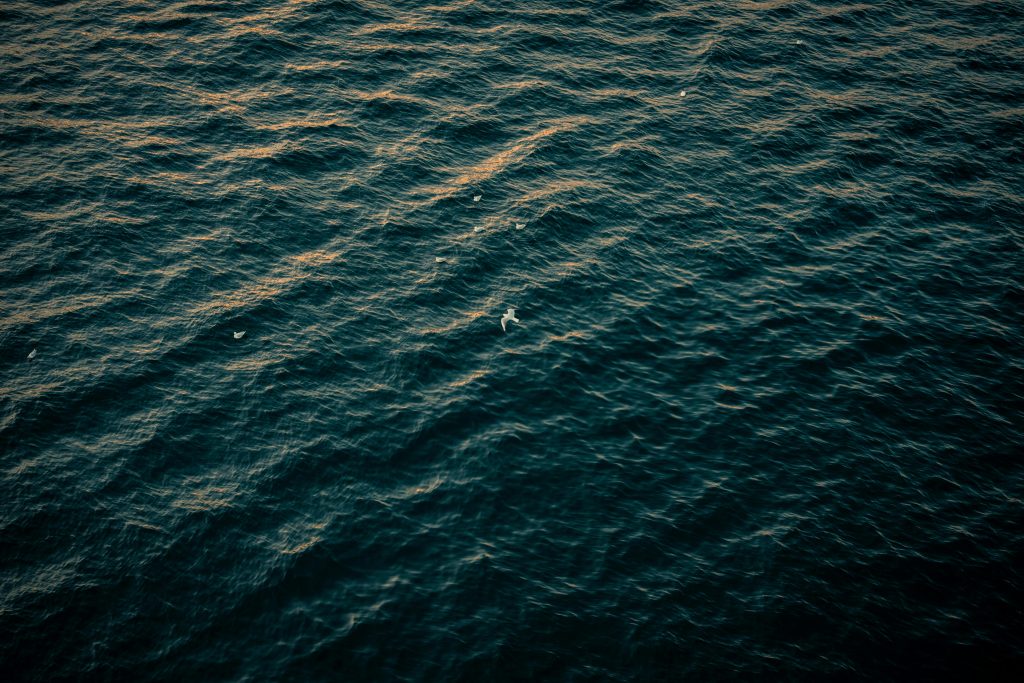 Nuevo estudio muestra que los océanos están “cantando” más fuerte