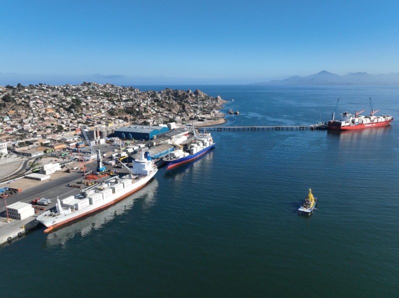 Operaciones récord en el Puerto de Coquimbo: tres muelles activos impulsan exportaciones