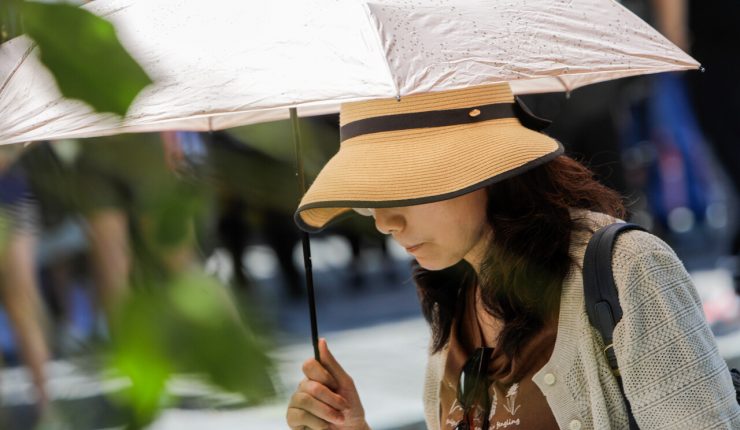 Nuevo aviso por altas temperaturas afectará desde Coquimbo hasta el Maule