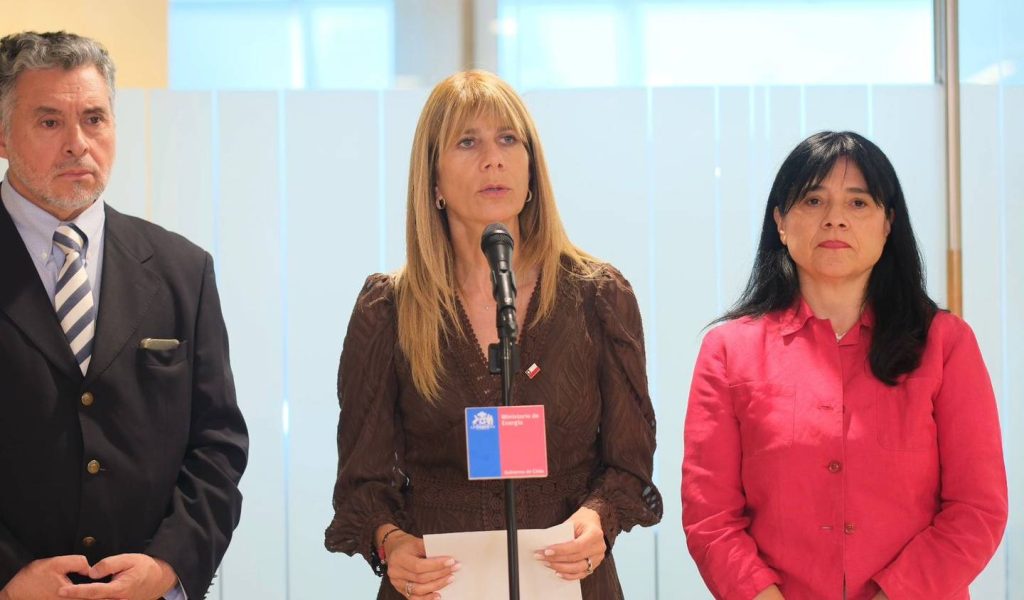 Ministra de Energía Ximena Rincón confirma que se posterga el alza en cuentas de luz
