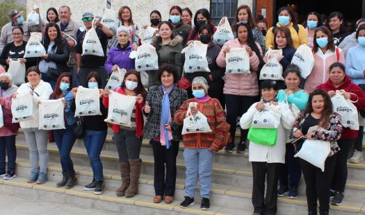 Ahorro con ampolletas LED entregadas a familias de la Región de Coquimbo equivale al consumo de 340 viviendas