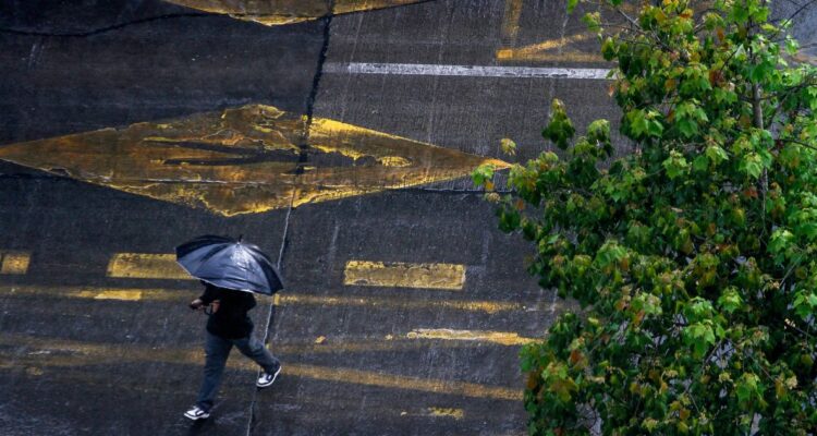 Gobierno activa Plan de Invierno ante posible impacto de El Niño entre Coquimbo y Biobío