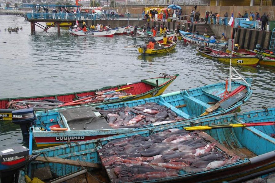 Gobierno entrega apoyo de hasta $600 mil a pescadores artesanales de la Región de Coquimbo
