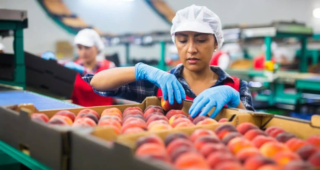 Desde octubre cambia el sistema de subsidios laborales: así funcionará el nuevo beneficio