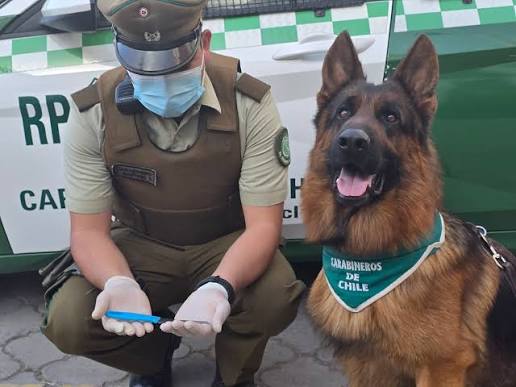 Urán se suma a los patrullajes de Carabineros y refuerza la seguridad en el centro de La Serena